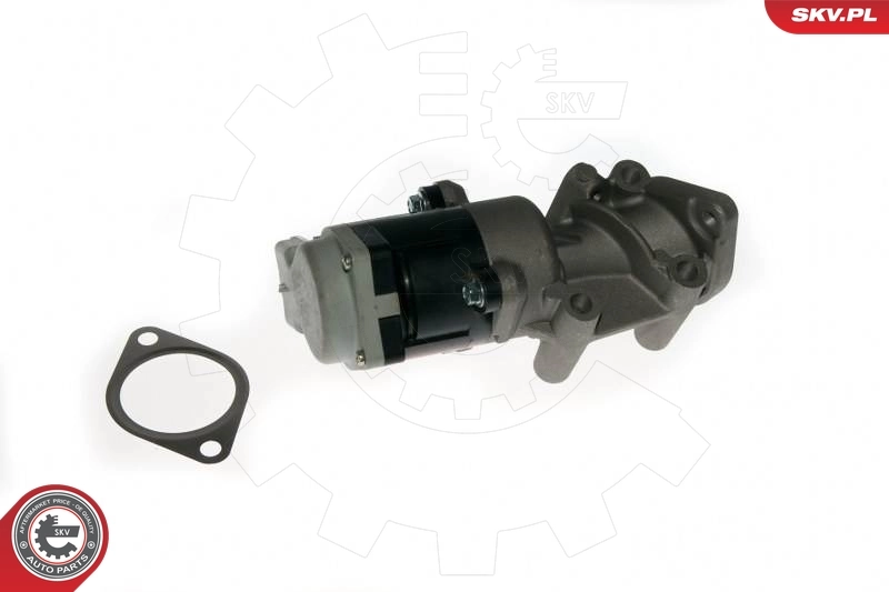 EGR Valve